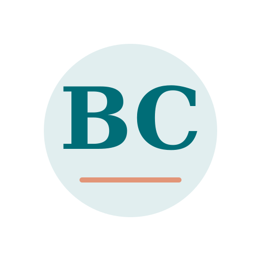 Burke Chimney Services logo